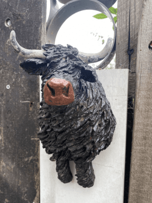 Bull