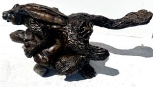 Hare and the Tortoise