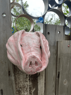 Pig