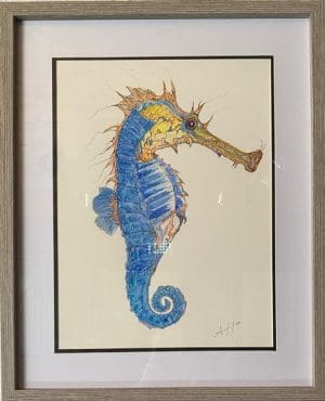 Long nose Blue Seahorse