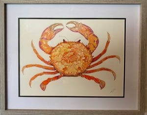 Orange Crab