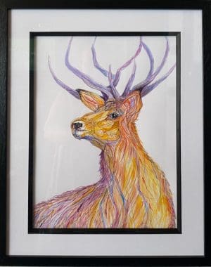 Purple Antlered Young Stag