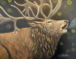 Bellowing Stag