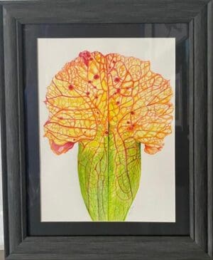 Green House surprise