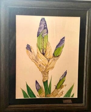 Line form budding Iris