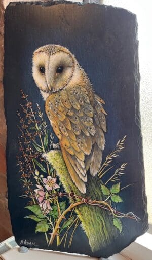 Slate Barn owl