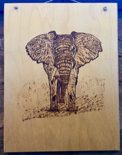 Elephant
