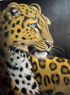 Leopard