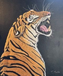 Tiger Roars