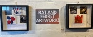 Ferret & Rat Art