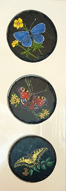 Butterflys
