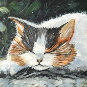 All Creatures Great & Small - Affa and friends