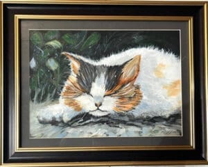 Cat in the sun