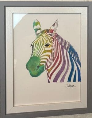Colourful Zebra