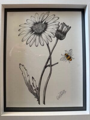 Daisy Bee
