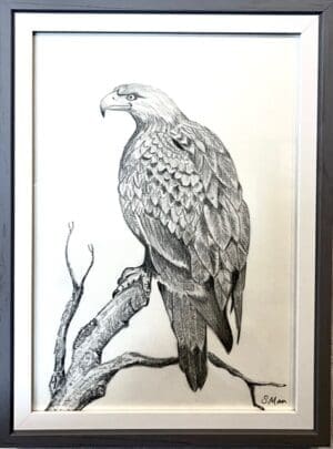 Eagle