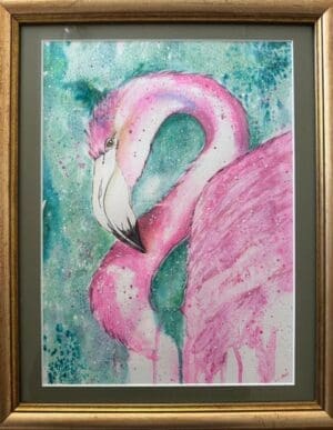 Flamingo