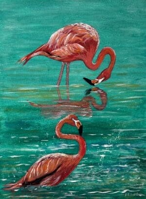 Flamingos