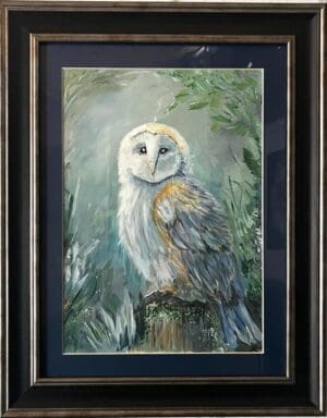 Fluffy Young Barn Owl