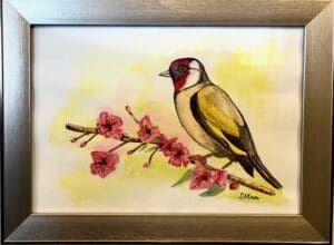 Goldfinch