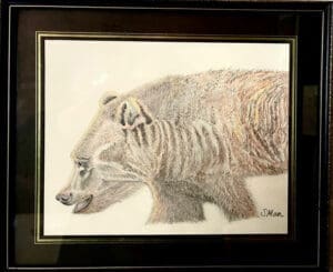 Great Bear