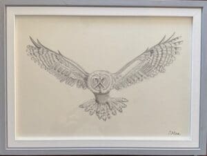 Great Grey Owl