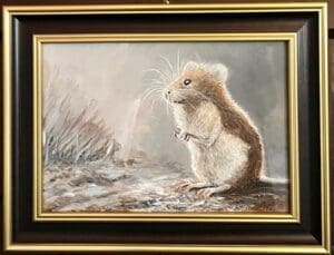 Harvest Mouse