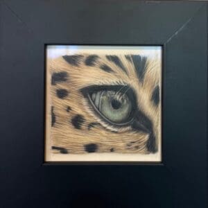 Leopards Eye