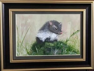Pine Martin