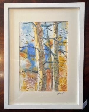 Silver Birch