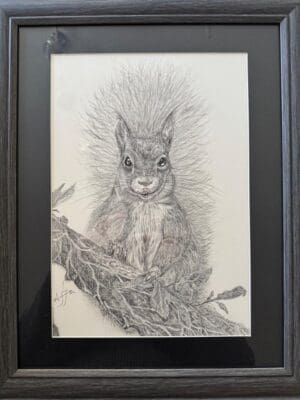 Squirrel in tree branch