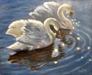 Swans