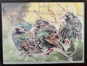 Three Starlings