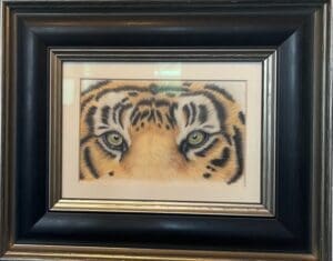 Tiger eyes