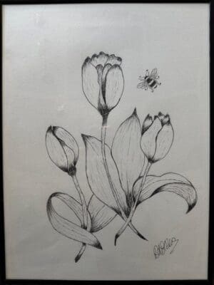 Tulip Bee