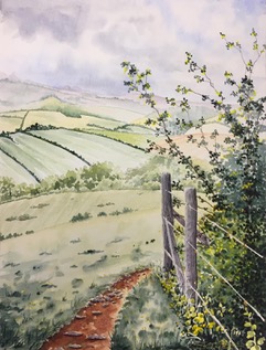 On Broomfield Hill