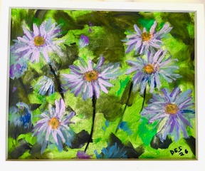 Purple Daisys