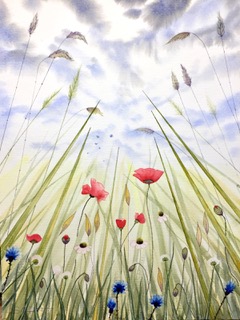 Summer Meadow