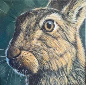Hare