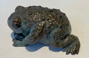 Toad