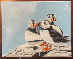 Puffins