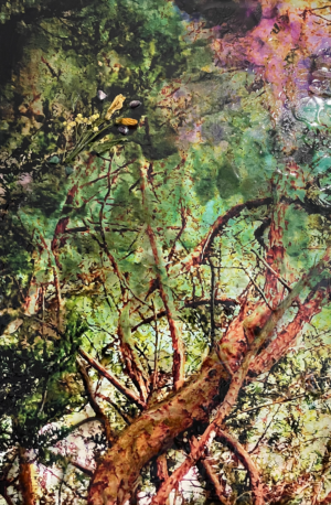A branch within fate
