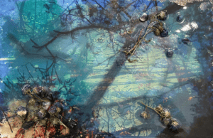 Beneath the blue